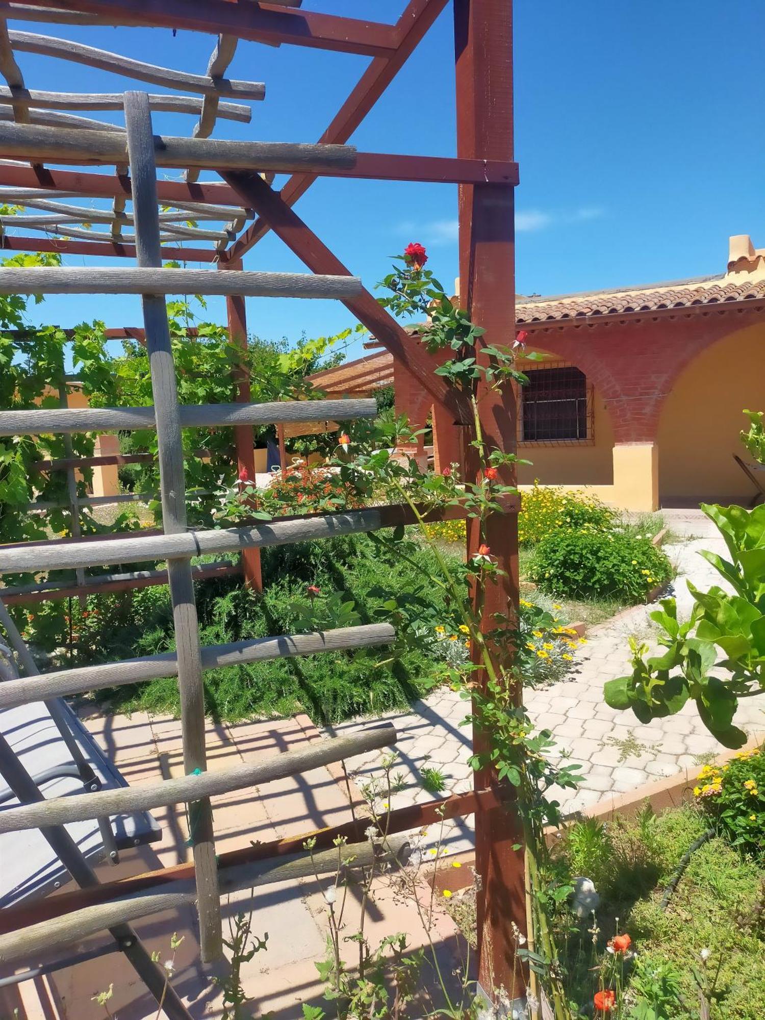 Casa Marina Lu Tuvaraggiu Casa Vacanze Sorso Zewnętrze zdjęcie